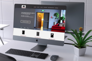 Дизайн интернет-магазина «Делюкс-проект»