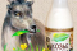 Козье молоко "ламанча"