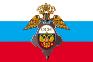 Флаг с логотипом (вектор)