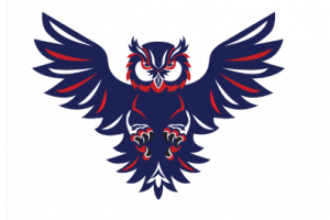 Логотип детской школьной команды по футболу