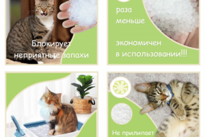 Фото продукции на сайт в стиле Эко