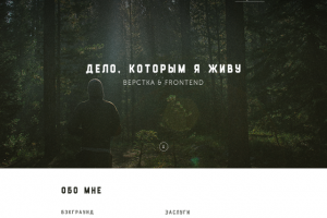 Сайт MYPORTFOLIO