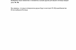 Рекламный текст про корм животным