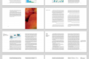 Верстка книги «Как продавать продукты в рунете»