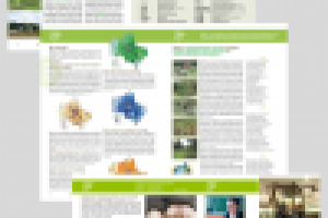 Экологическая брошюра