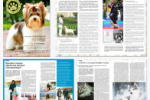 Верстка журнала о животных