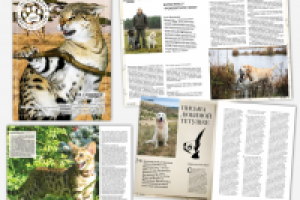 Журнал о животных, №14