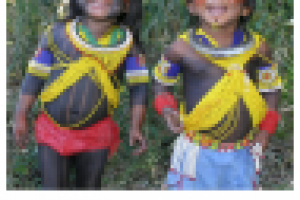 Обзорная статья о Латинской Америке