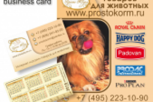 Листовка и визитка интернет-магазина