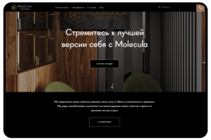 Многостраничный сайт для студии