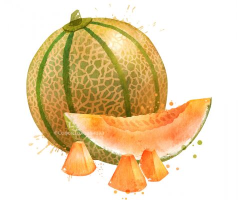 img4284253.png