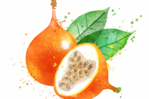 Гранадилла