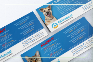 Дизайн еврофлаера ветеринарной клиники