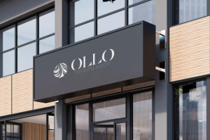 Разработка логотипа 25 000 руб., Срок проекта до 7 дней