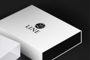 Фирменный стиль 55 000 руб., Срок проекта 14 дней