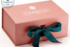 Фирменный стиль 55 000 руб., Срок проекта 14 дней