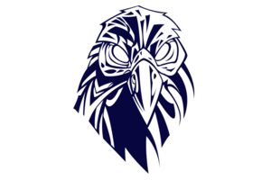 Частный заказ RAVEN