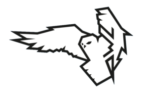 Логотип туристического клуба «OWL»