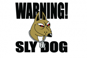 Частный заказ  принт на футболку