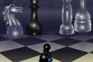 Частный заказ