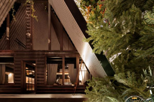 Разработка проекта хижины в лесу