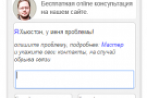 Псевдо чат со службой он-лайн поддержки