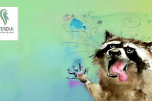 Разработка функционала