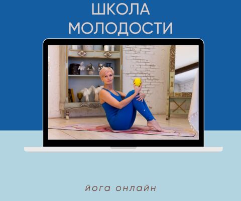 img4231681.png