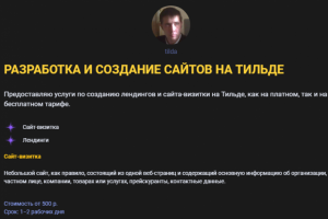 Портфолио