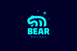 BEAR GALAXY