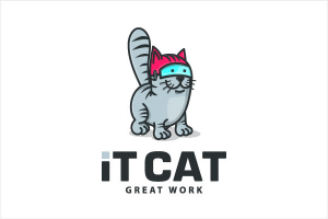 IT разработчик