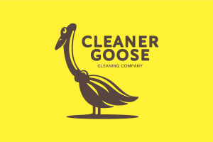 Cleaner goose