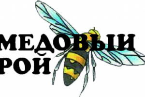 логотип для магазина "Медовыйм рай"