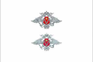 Отрисовка логотипа УФМС