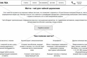 Прототип лендинга с интернет-магазином