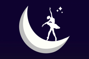 Отрисовка изображения в векторе