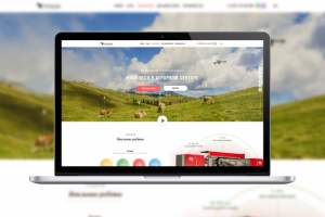 Доильные роботы (для инвесторов)