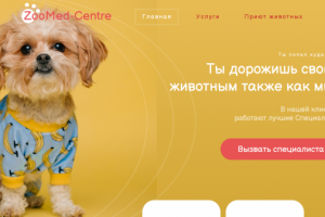 ZooMed-Centre Клиника для животных ( Дизайн главного экрана )