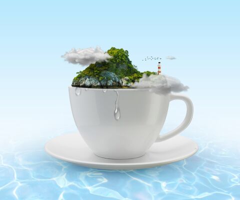 img4244486.png