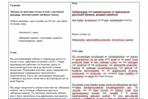 Перевод сайта с русского на голландский