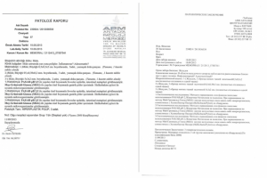 Работа 3907198