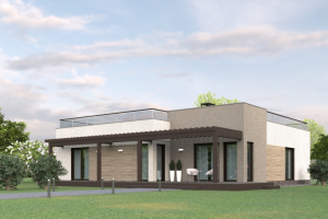 Одноэтажный жилой дом в современном стиле