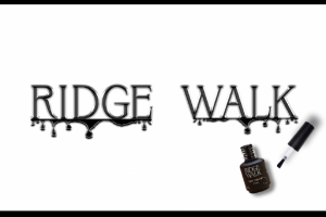 Анимация логотипа