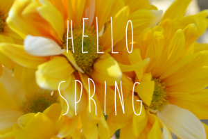 Презентации для студертов