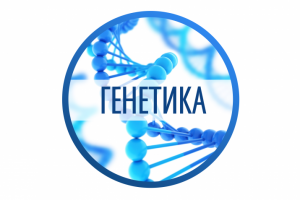 Расшифровка «Генетика»