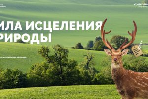 DeerPharm