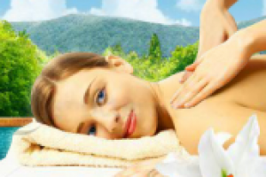 Анимированная шапка для сайта "Спа-салоны Санкт-Петербурга"