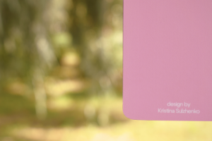 Реализация проекта "Расстройства". Бирка