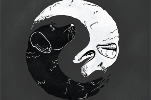 Лабрадоры ин янь. Анимация