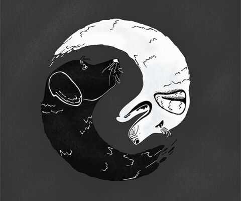 img4004738.png